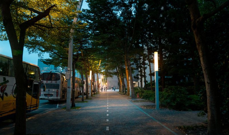 매년 여름 저녁